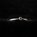 1765&nbsp;7445&nbsp;RING